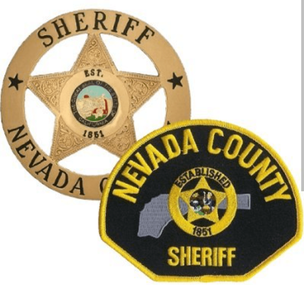 Call Log Diaries #33: Pastries, PVC, and Stranger Danger