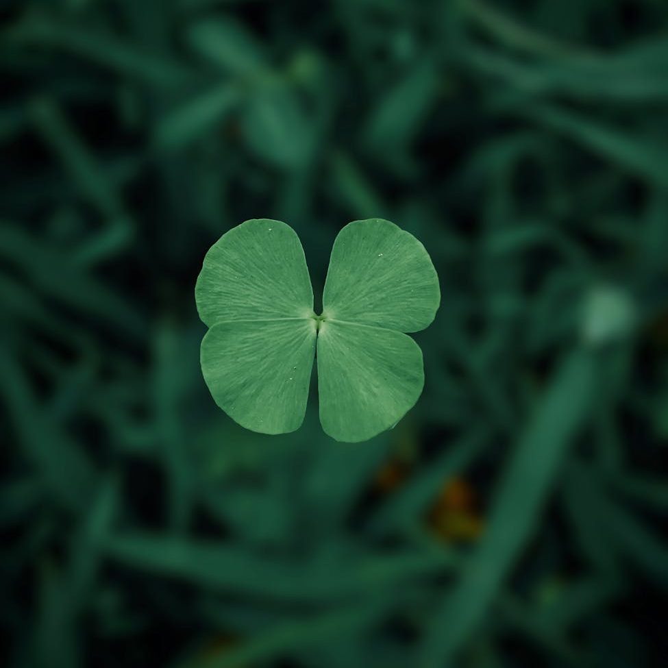 Embracing Saint Patrick’s Day with Global Traditions and Local Flair