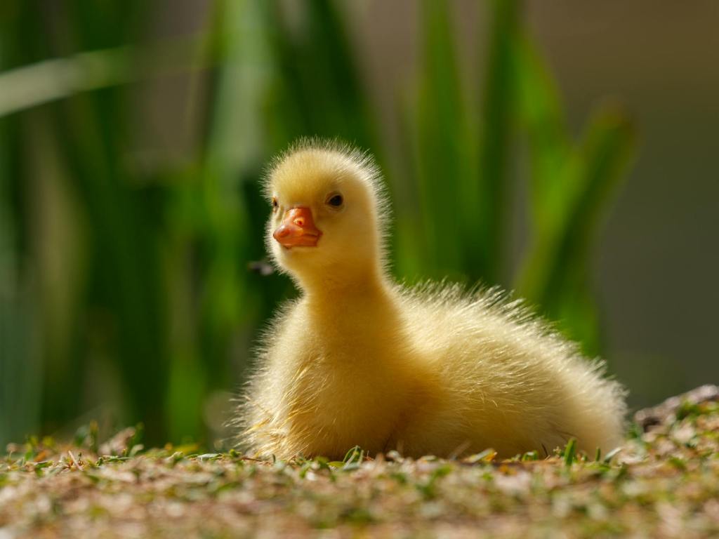 Springtime Essentials for Babies and Young Kids