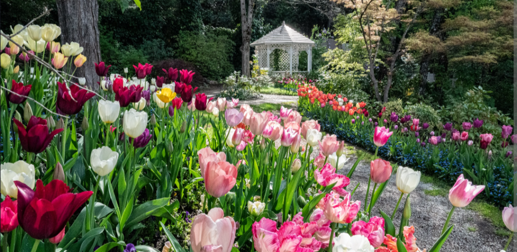 Upcoming Spring Events of Nevada County,&nbsp;California