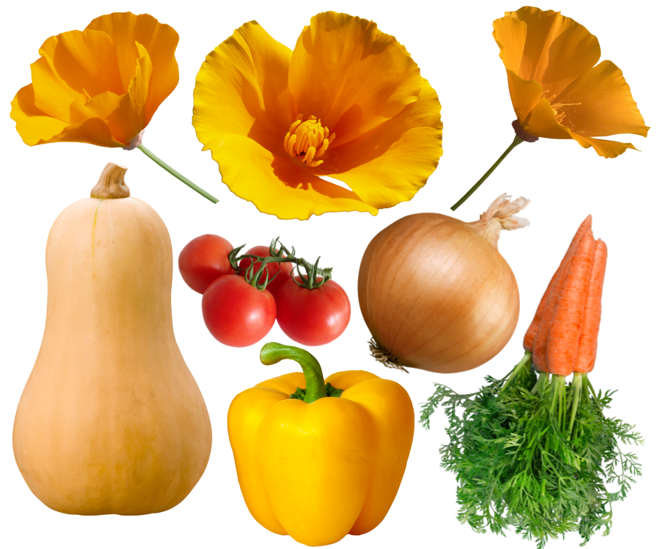 From Frost to Flourish: 12 Seeds to Plant This Month in Nevada&nbsp;County