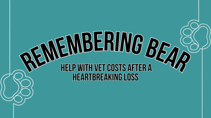In Loving Memory of Bear:
A Request for&nbsp;Support