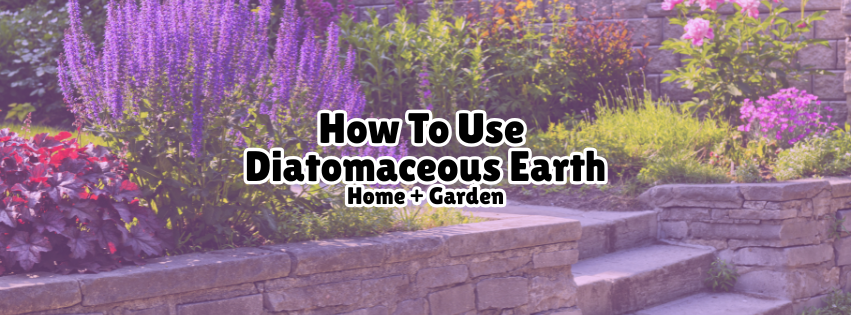 The Dirt on Diatomaceous Earth: A Powdered Powerhouse for Home & Garden