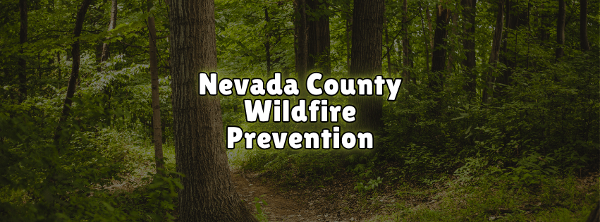 Nevada County Wildfire Prevention: Fuel Reduction, Grant Funding, and Evacuation Safety Plans