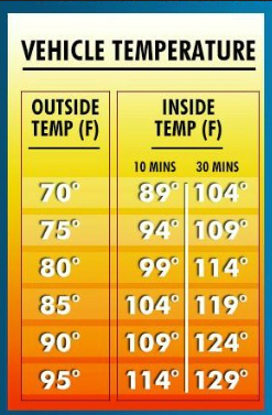 Preventing Hot Car Tragedies: Safety Tips Every Parent & Caregiver Should Know