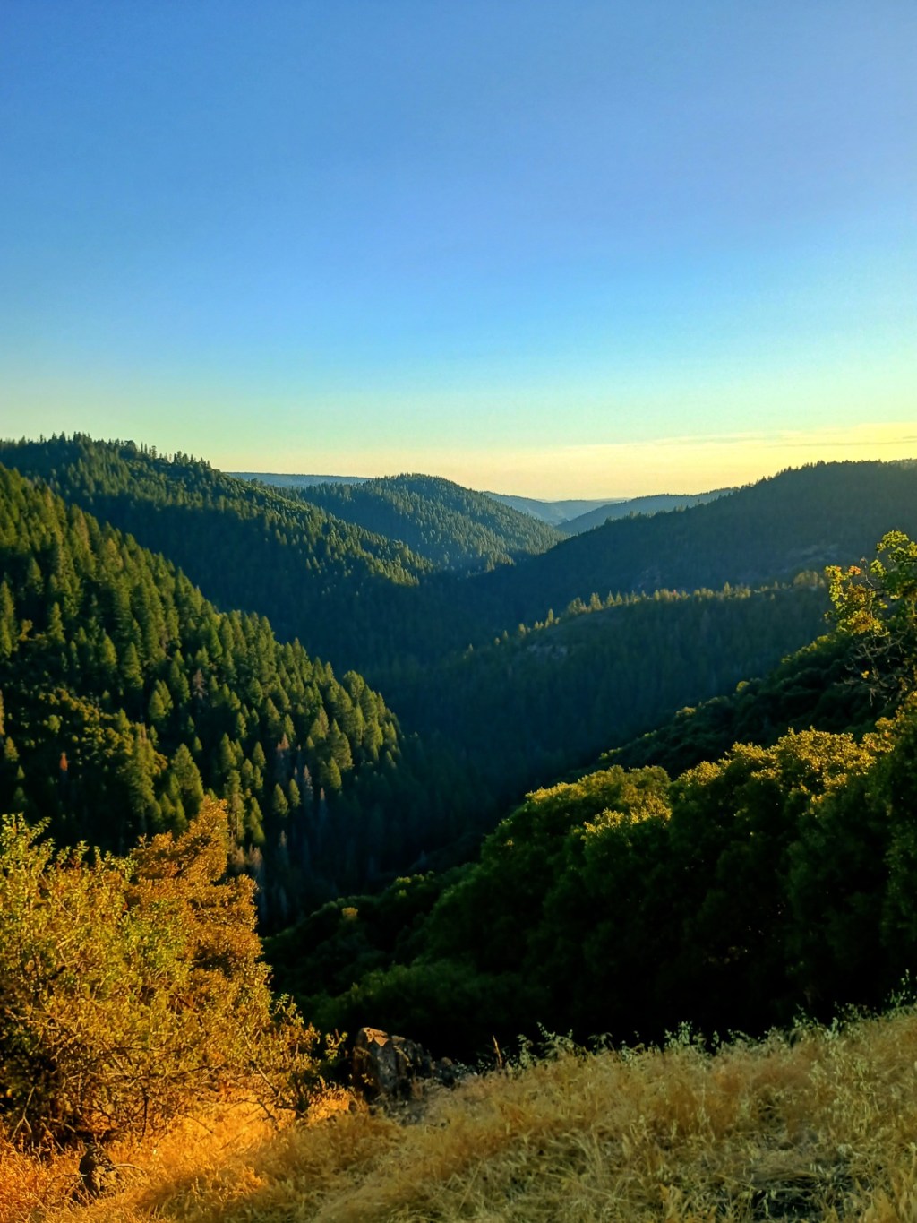 Fresh Air, Sharper Minds: Why Getting Kids Outside Boosts Grades, Mood, and Real-Life Curiosity