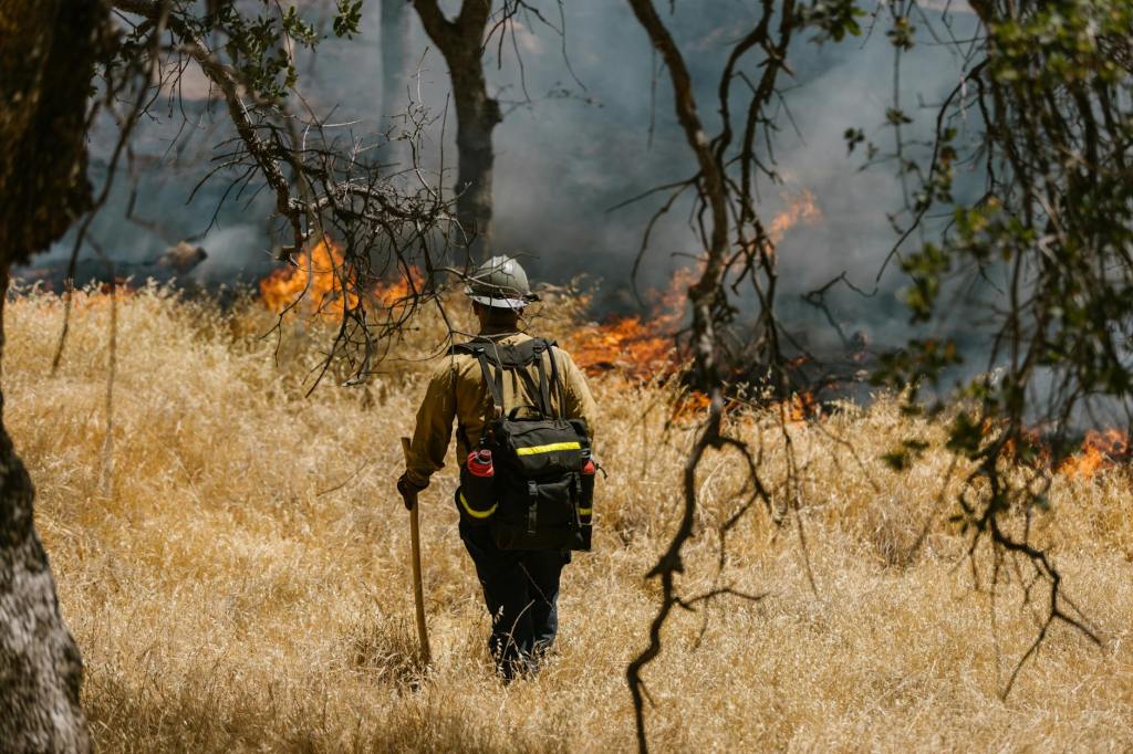 Nevada County Wildfire & Heatwave Preparedness: What’s Being Done and How You Can Get Ready