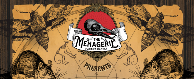 From Oddities to Disco Inferno and Spooky Stories at the Library: Upcoming Events in Nevada&nbsp;County